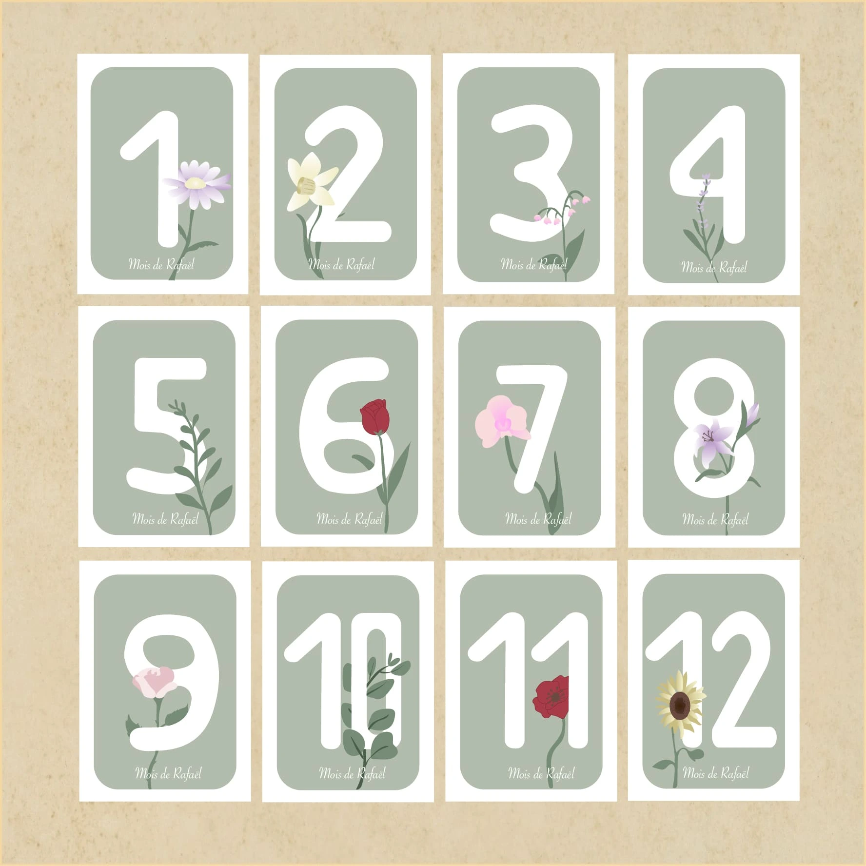 aperçu des 12 cartes mois fleurs